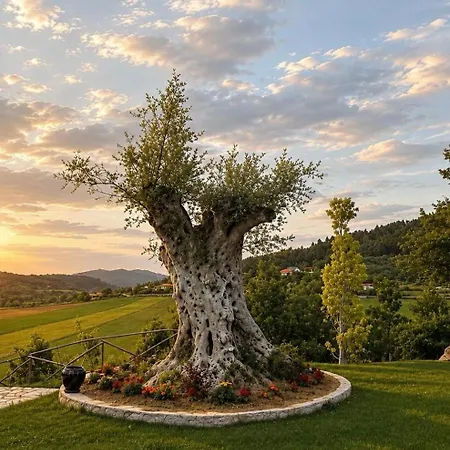 Ξενοδοχείο Mugull Agrotourism Τίρανα